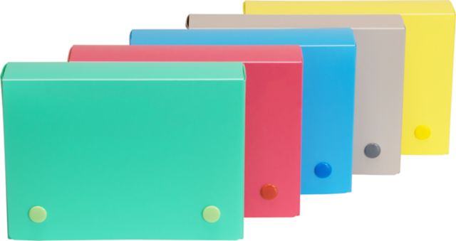POLY INDX CARD CASE 4X6 ASST